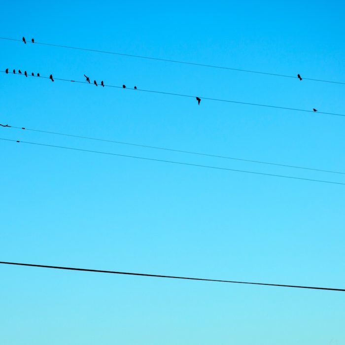 Stop Saying “I Can’t Because…” to Boost Your Marketing Automation Career