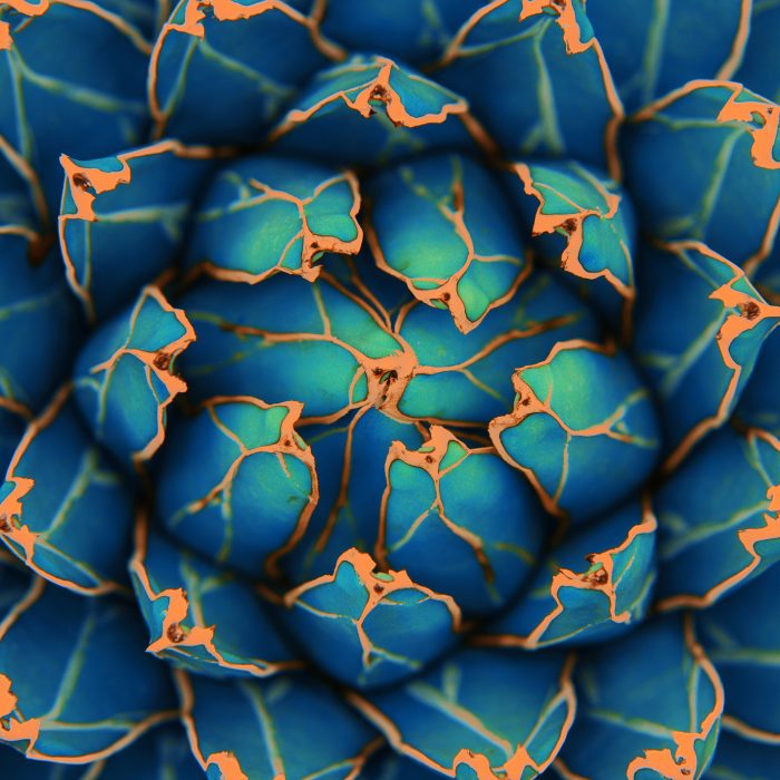 Planning for your Pardot Business Unit Implementation