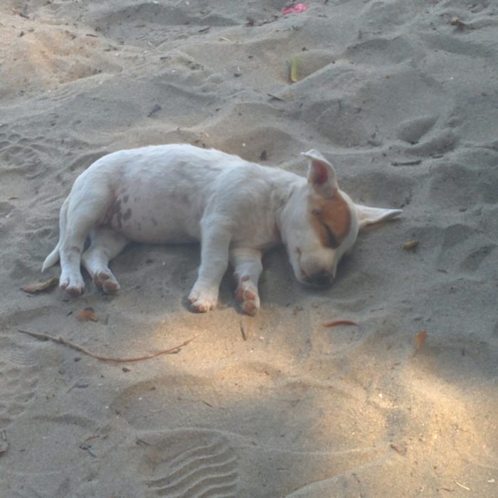 Elon, Take Some Advice & a Nap, Bro