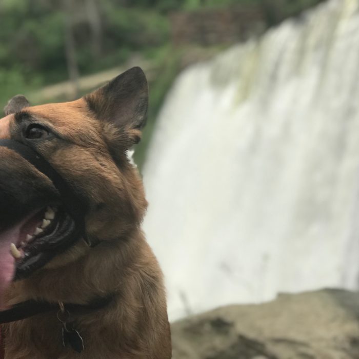 How to Prevent Issues When Prospects Match Criteria for Multiple Lists