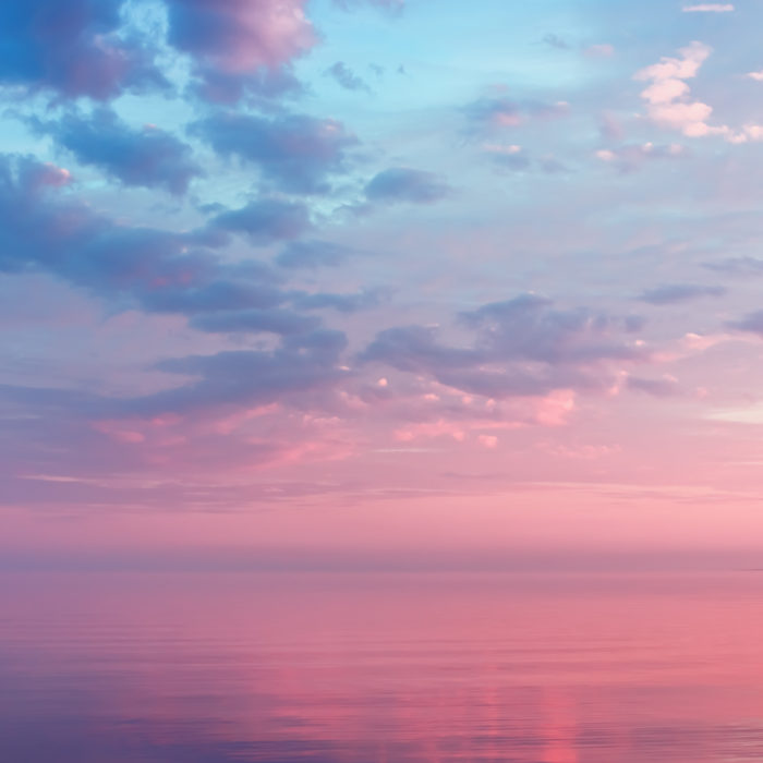 ParDreamin’ Day 4 Recap