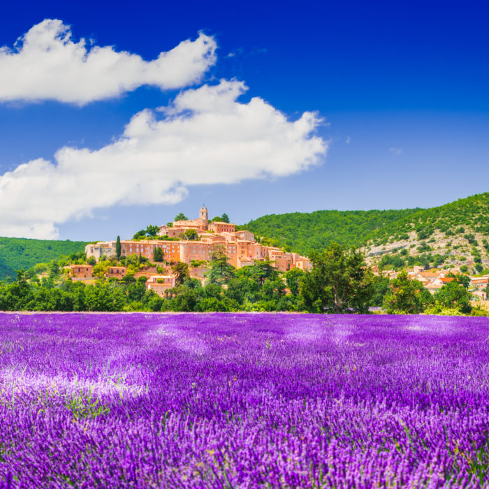 The Pardot User’s Guide to MarDreamin’ 2022