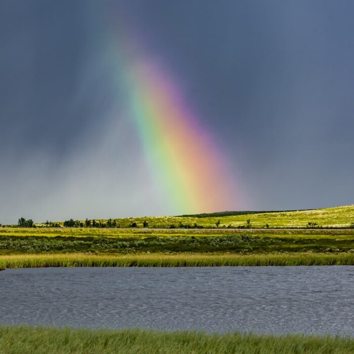 Eliminate Form-Fill Burnout with Account Engagement Progressive Profiling