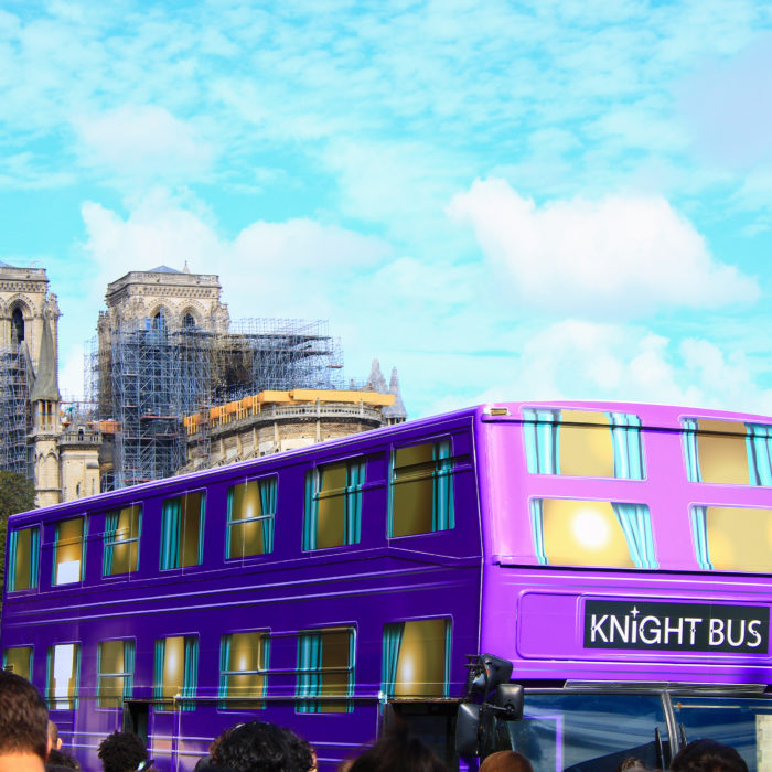 Mardreamies 2022 Award Winner Story: Social Impact