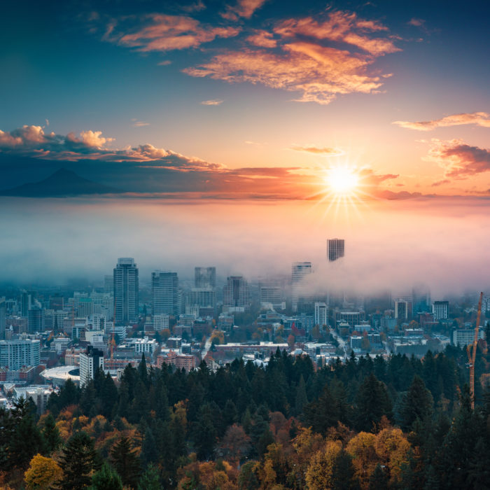 How Marketing Automation Saved My Bacon… Twice