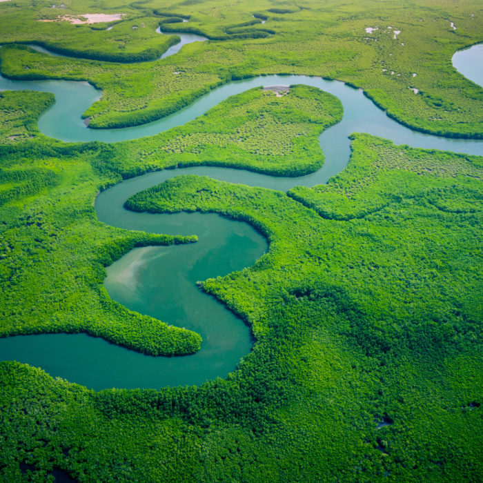 One Form, Two Pardot Orgs – Part 2