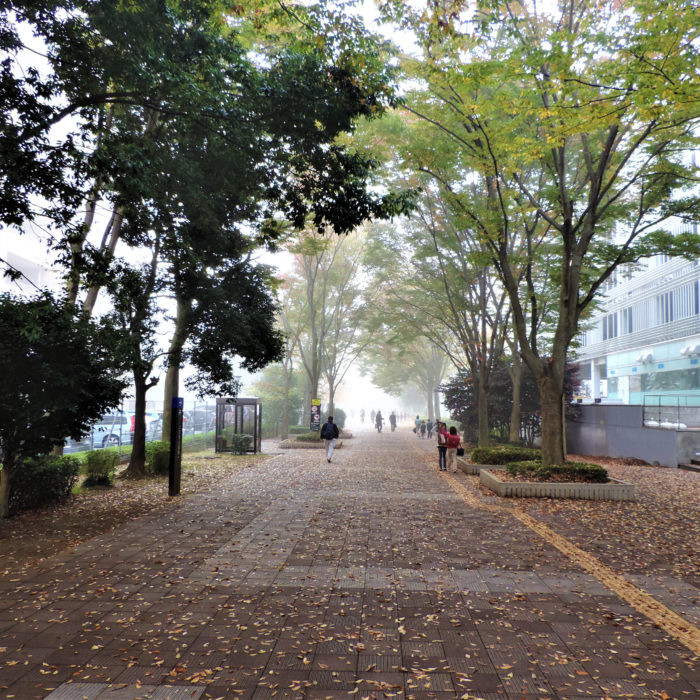 External Actions: The Long-Awaited Pardot Feature