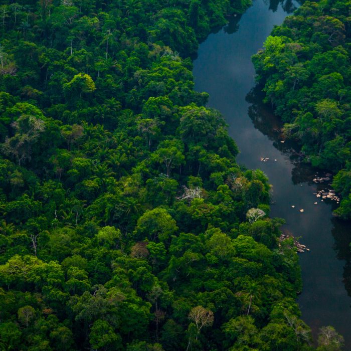 One Form, Two Pardot Orgs – Part 1