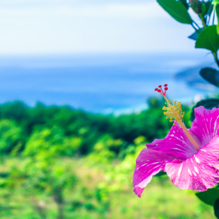 Salesforce Summer ‘22 Release: Review Email Bounce Data in One Report