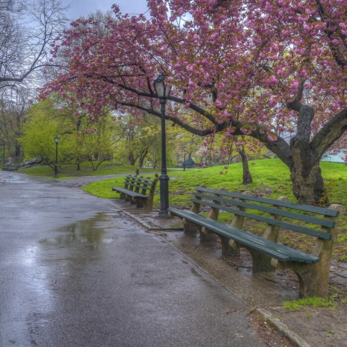 Account Engagement Spring ’24 Release Features