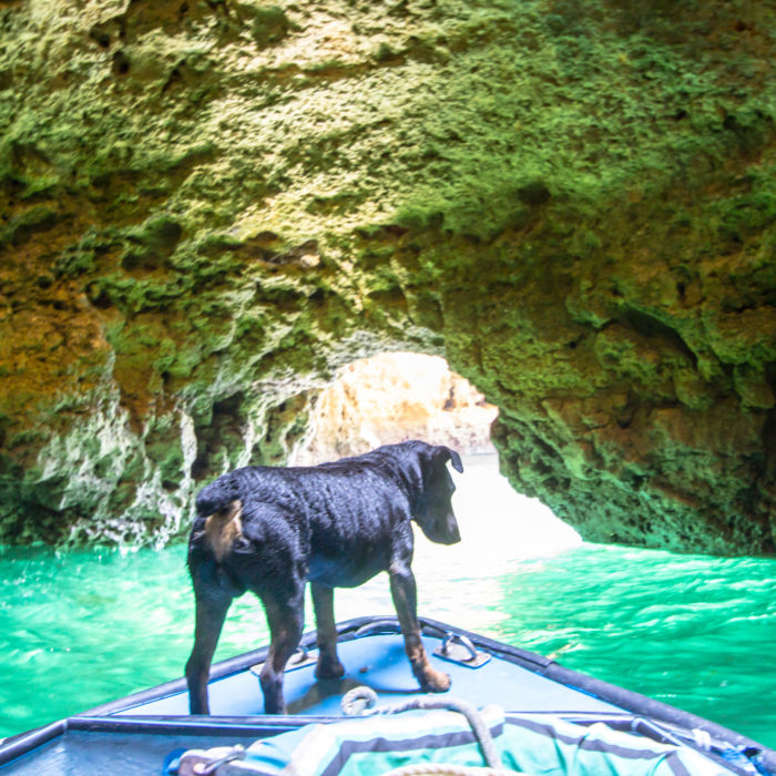 How to Manage Salesforce Campaign Activation with a Simple Flow