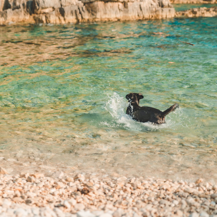 MQL Reporting in Salesforce: Tips, Tricks and Examples