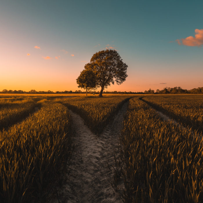 Conversational Marketing: What is it & What Does it Mean for Pardot Customers?