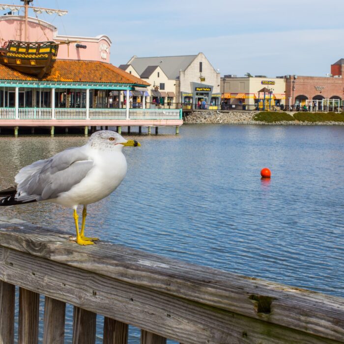 Create a Lead Nurturing Strategy To Boost Sales Revenue