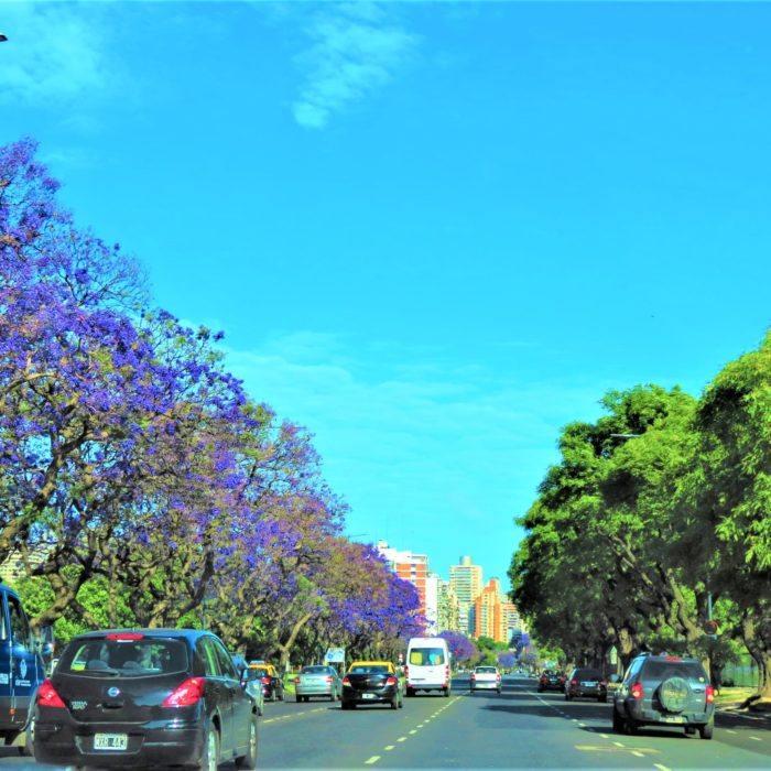 Salesforce Spring ‘23 Release: Platform Highlights