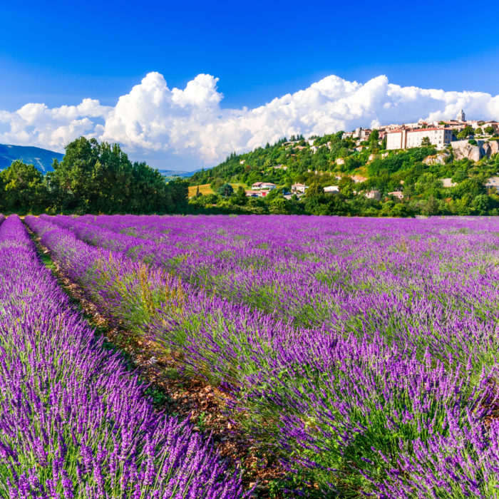 Check Out the General Administrative Track Agenda for MarDreamin’ 2022