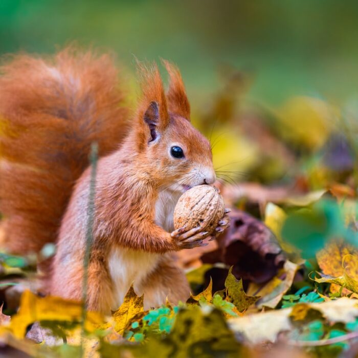 Help! My Account Engagement Email Looks Broken