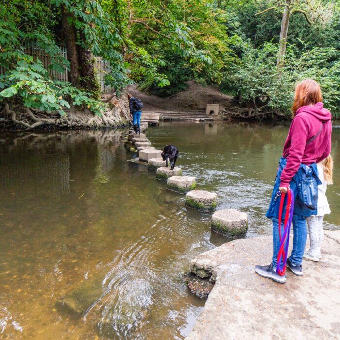 Campaign Audience Builder: A Solution to Harness your Salesforce Data Now