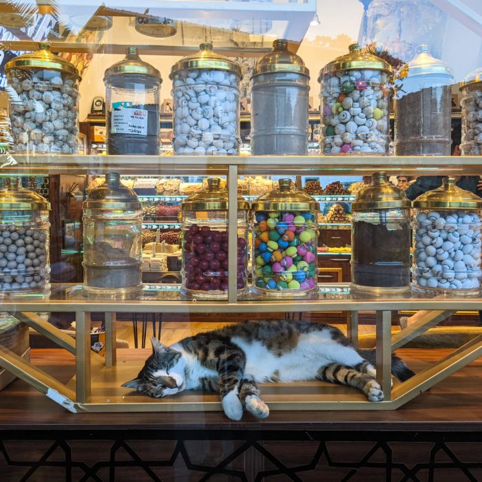 5 Next-Level Tips for Your Lead Nurture Program