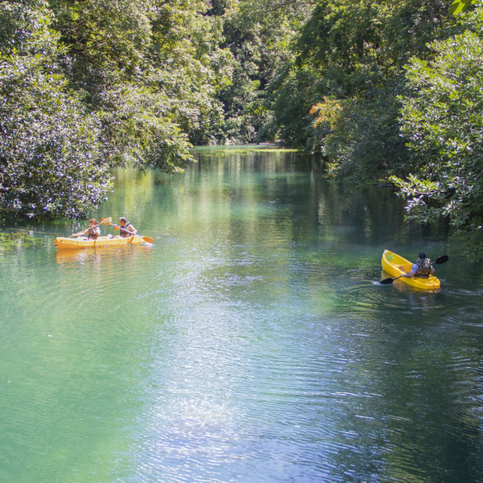 7 Tips for Organizing Your Campaigns in Salesforce