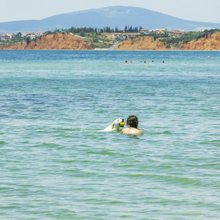 Pardot Scoring & Grading Lab