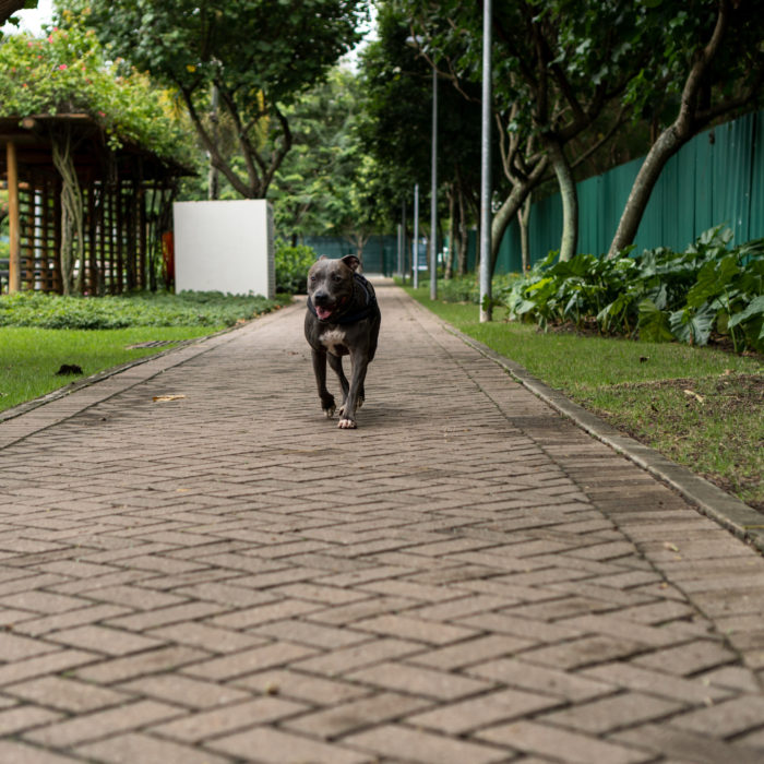 Salesforce Marketing Cloud Basics: Connect with Potential Customers