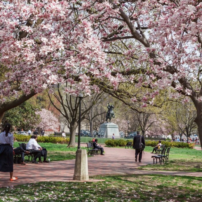 Roadshow Recap: Salesforce World Tour D.C. 2024