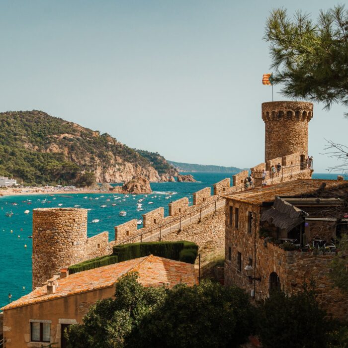 Mastering Marketing Cloud Intelligence Part 2: Maximize Platform Performance