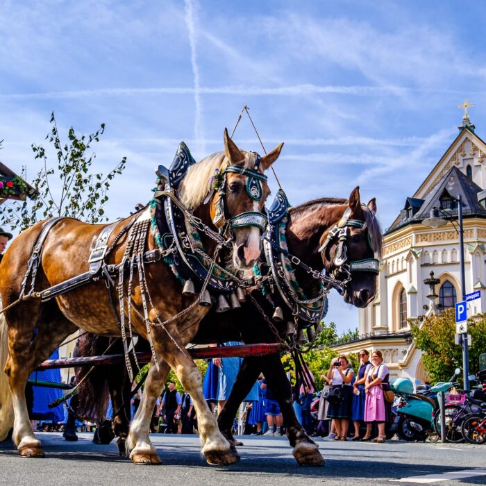 Salesforce’s New Marketing Intelligence: As Seen by a Datorama Enthusiast