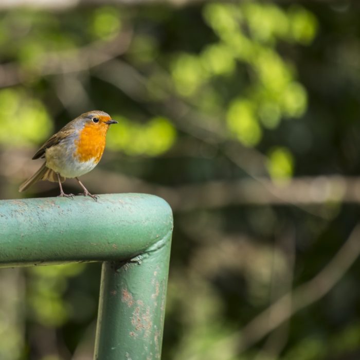 How to Create Custom Salesforce Round Robin Processes