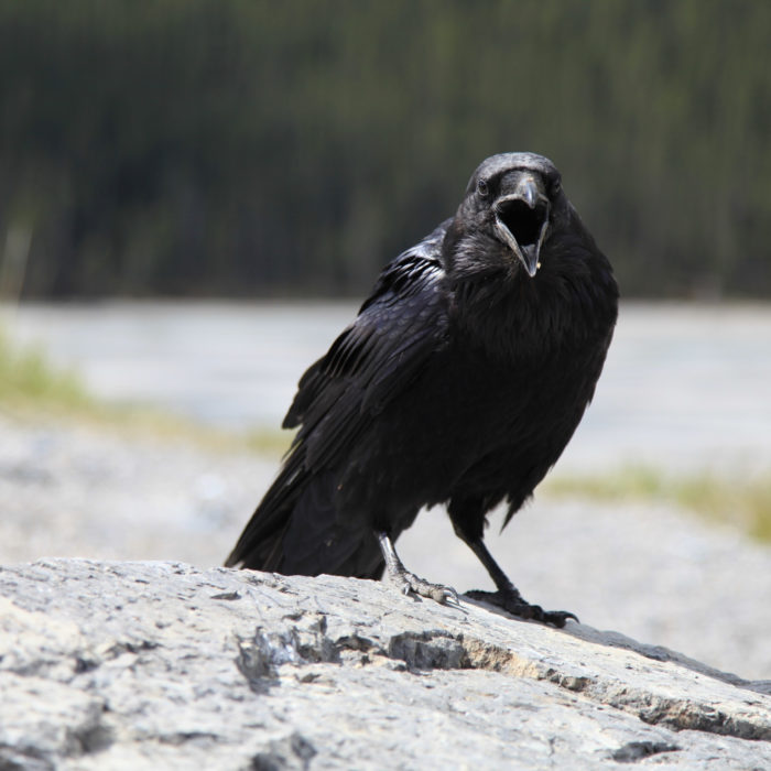 How to Prevent 5 Awkward Email Sending Fails in MCAE (Pardot)