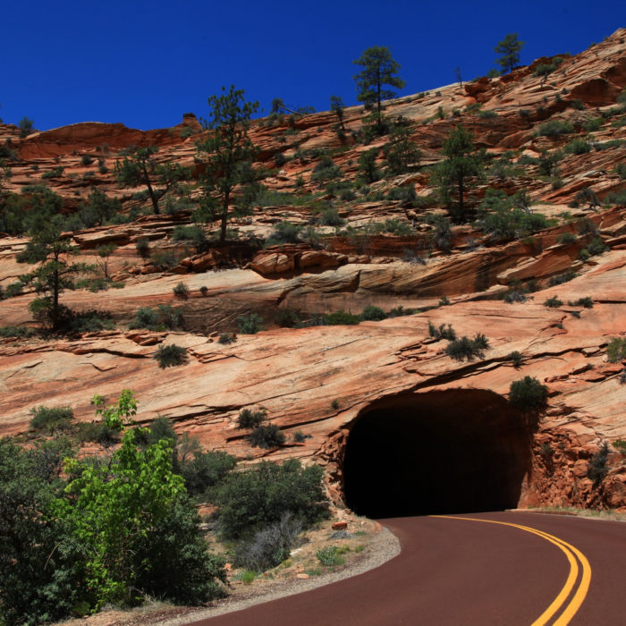 Sync Error Workaround: Dynamic Dependent Picklist Fields and Pardot Forms