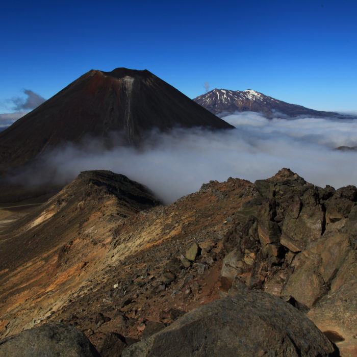 A Quick Intro to Each Marketing Cloud Tool