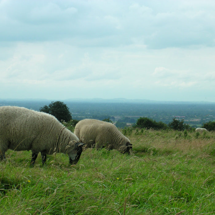 How to Connect Marketing Cloud Engagement to Salesforce CRM