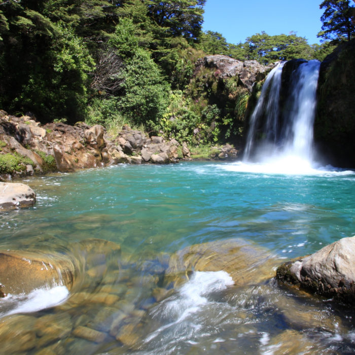 Capture Lead Source Data Using Cookies and Google Tag Manager