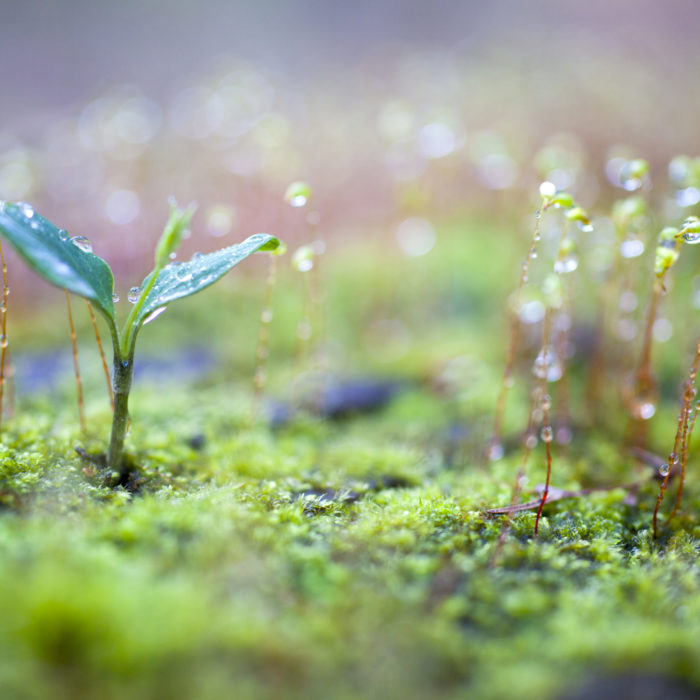 Top 8 New Features from the Salesforce Summer ‘21 Release