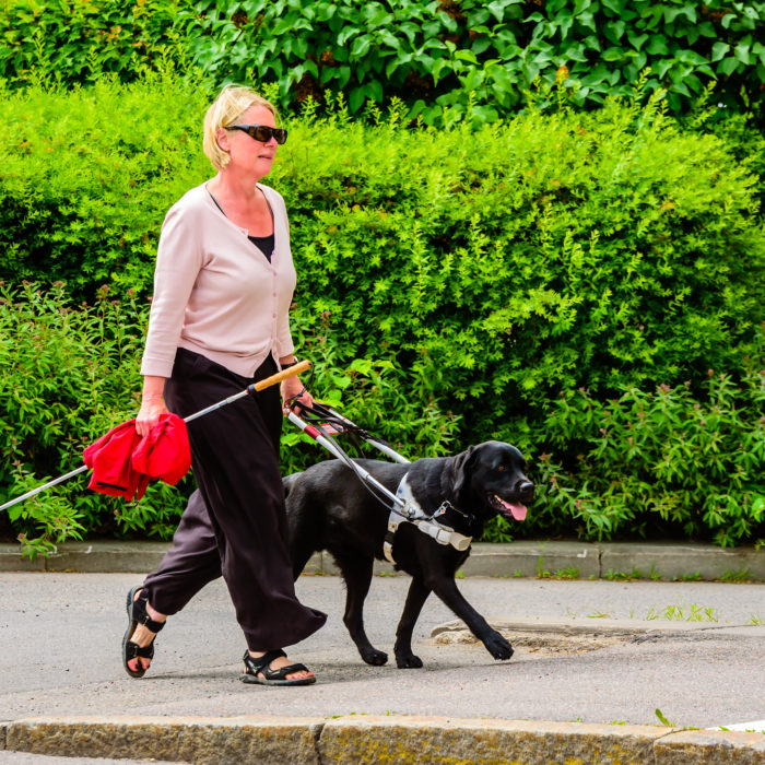 Email for Everyone: Creating Accessible Digital Marketing Assets