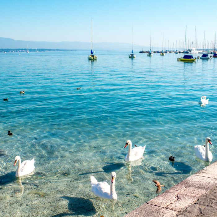 Automation Facelift: Migrate Workflow Rules and Process Builder to Salesforce Flow