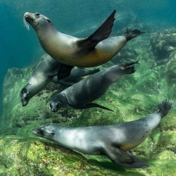 Migrating From Marketo to Account Engagement: Key Things to Know