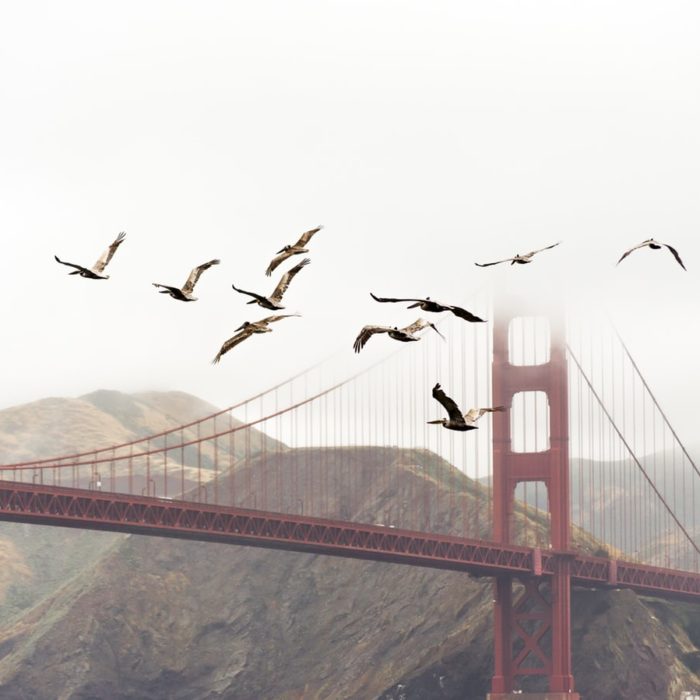 13 Best Practices for Migrating to Pardot from Another Marketing Automation Platform