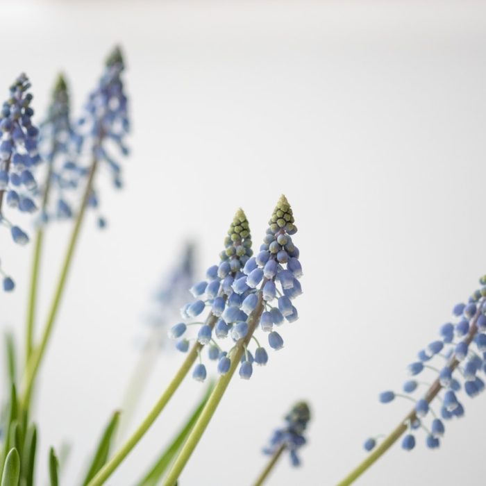 13 Spring Cleaning Tips for a Spotless Pardot Org