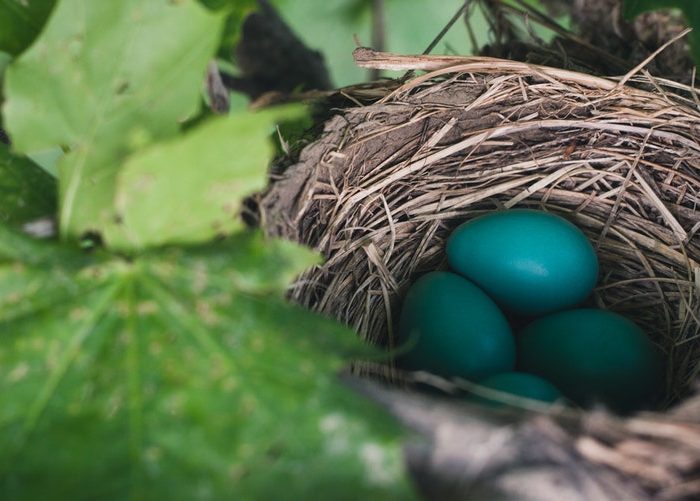 How to Round Robin Prospects in Pardot without Salesforce Lead Assignment Rules