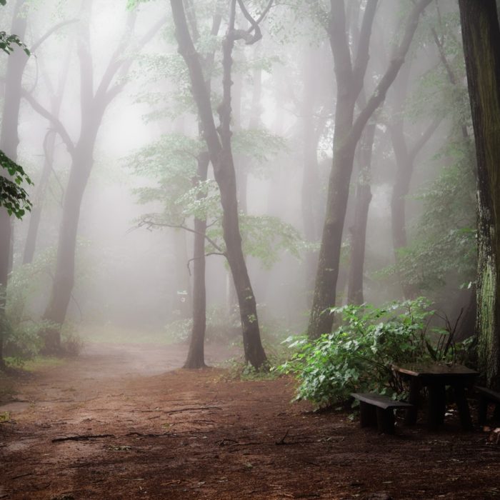 The Myth of the Failed Marketing Automation Implementation