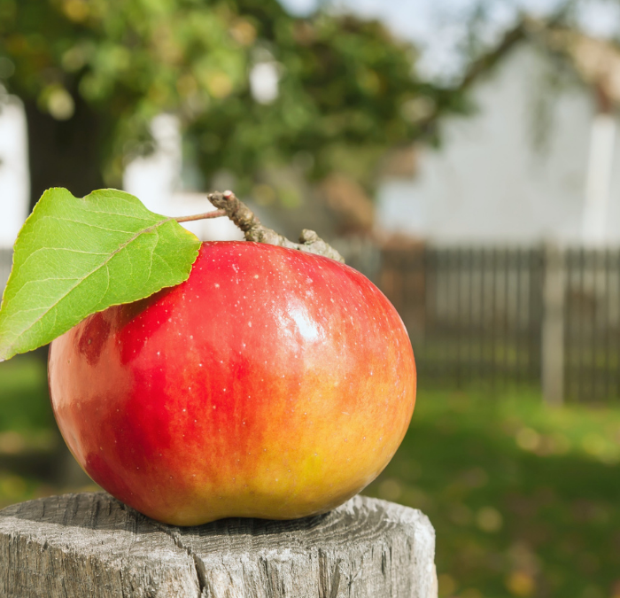 Everything Pardot Admins Should Know About Apple Privacy Updates