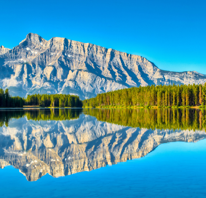 How To Automate Salesforce Campaign Naming Conventions