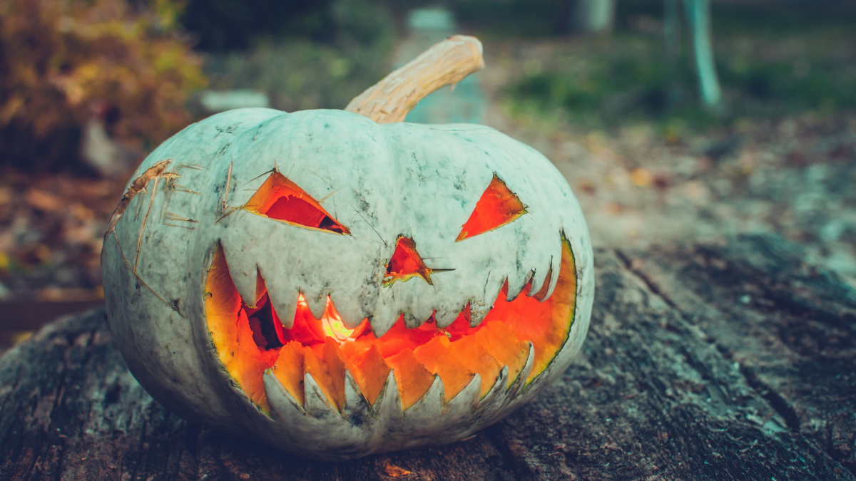 Pardot Horror Stories