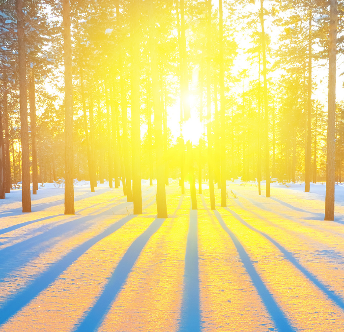 New Pardot Feature: Custom Components for Email Content