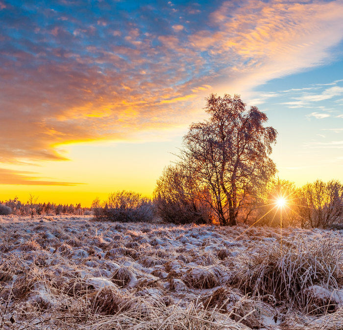 Pardot External Activity: What It Is and How To Use It