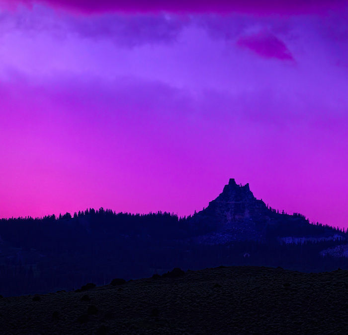 Announcing the 2021 ParDreamies Pardot Award Winners