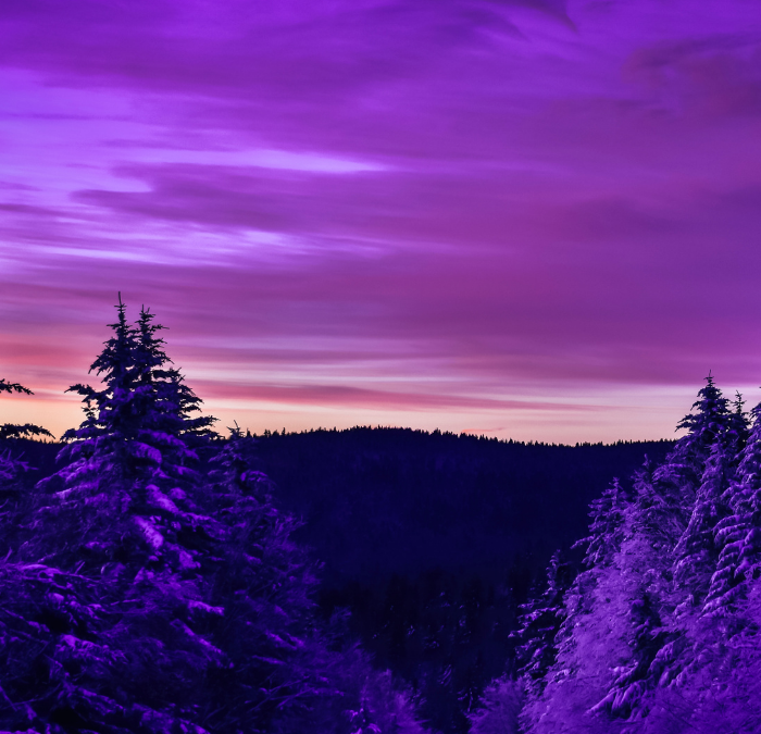 ParDreamin’ 2021 Demo Jam recap: Products to Extend Pardot